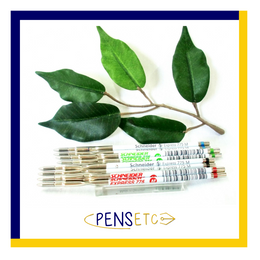 Schneider 775M Express Ballpoint Pen Refill - Black, Blue, Red & Green x2