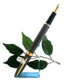 X-Pen Legend Fountain Pen, Ballpoint or Both in Gunmetal Grey with Gold Detail 403B