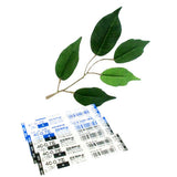 Zebra 4C Ballpoint Refill in Blue or Black Ink Pack of 2 BR-8A-4C Blue or Black Mini Expandz T3 Sharbo