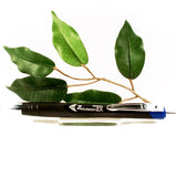 Zebra Z-Mulsion Ballpoint Pen Available in Black, Blue, Red, Viloet, Pink or Aqua