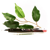 Zebra Z-Mulsion Ballpoint Pen Available in Black, Blue, Red, Viloet, Pink or Aqua