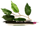 Zebra Z-Mulsion Ballpoint Pen Available in Black, Blue, Red, Viloet, Pink or Aqua