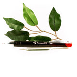 Zebra Z-Mulsion Ballpoint Pen Available in Black, Blue, Red, Viloet, Pink or Aqua