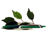 Pilot Hi-Tecpoint V7 RT Retractable Needlepoint Pen in Black Blue or Green