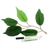 Rotring Fountain Pen & Artpen Ink Converter Piston Fill S0227850