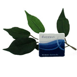 Waterman Mini Ink Cartridges Universal International Short Size x6 Blue/Black