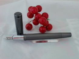 X-Pen Concerto Fountain Pen Gunmetal Embossed Body