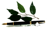X-Pen Legend Fountain Pen Black Lacquer 409F