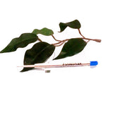 Staedtler 458 Jumbo Ballpoint Pen Refill in Black or Blue Ink