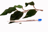 Staedtler 458 Jumbo Ballpoint Pen Refill in Black or Blue Ink