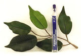 Staedtler Mars Micro Carbon Pencil Leads 0.7mm in HB, H, 2H, B and 2B with Quantity Discounts