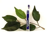 Staedtler Mars Micro Carbon Pencil Leads 0.7mm in HB, H, 2H, B and 2B with Quantity Discounts