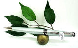 Waterman Expert Ballpoint Pen in Satin Chrome Shiny Chrome Detail S0701230