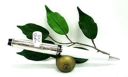Waterman Expert Deluxe Ballpoint Pen in White Lacquer with Black and Chrome Detail S0889760