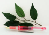 Papermate Handwriting Fountain Pen Set with Pen Case Pink-Special Purchase