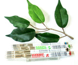 Schneider 775M Express Ballpoint Pen Refill - Black, Blue, Red & Green x2