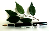 X-Pen Legend Fountain Pen Deep Black Lacquer 406F